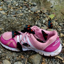 Butterflies on a lost shoe